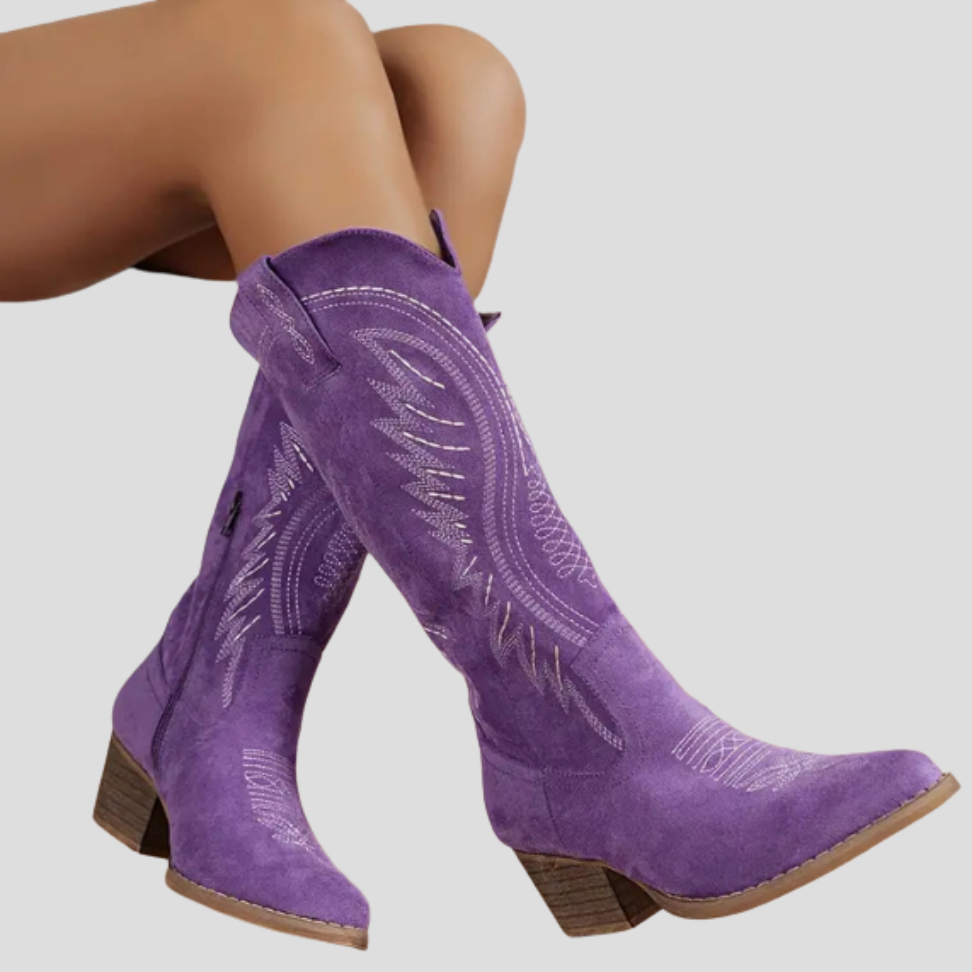 Women Boots | Western Profile & Embroidered Detail with Pointed Toe Design for Daily Wear