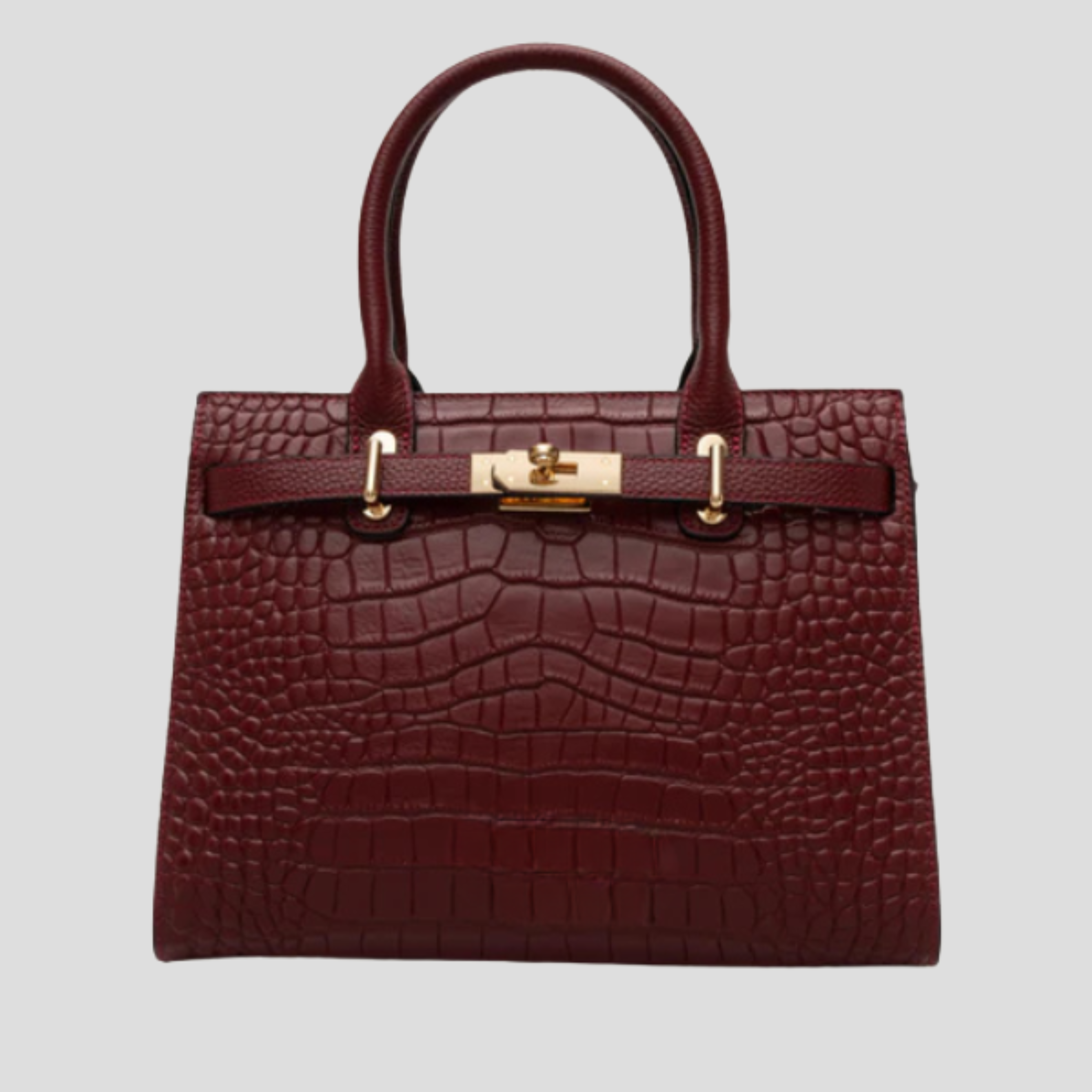 Women Bag | Defined Handle Structure & Structured Lock Front Design